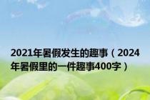 2021年暑假发生的趣事（2024年暑假里的一件趣事400字）