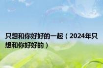 只想和你好好的一起（2024年只想和你好好的）