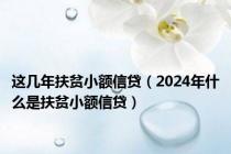 这几年扶贫小额信贷（2024年什么是扶贫小额信贷）