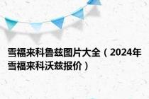 雪福来科鲁兹图片大全（2024年雪福来科沃兹报价）