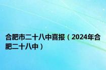 合肥市二十八中喜报（2024年合肥二十八中）