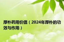 厚朴药用价值（2024年厚朴的功效与作用）