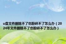 u盘文件删除不了也粉碎不了怎么办（2024年文件删除不了也粉碎不了怎么办）