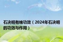 石决明有啥功效（2024年石决明的功效与作用）