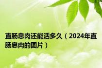 直肠息肉还能活多久（2024年直肠息肉的图片）