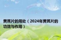 黄芪片的用处（2024年黄芪片的功效与作用）