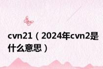 cvn21（2024年cvn2是什么意思）