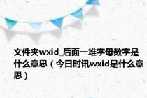 文件夹wxid_后面一堆字母数字是什么意思（今日时讯wxid是什么意思）