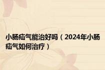 小肠疝气能治好吗（2024年小肠疝气如何治疗）