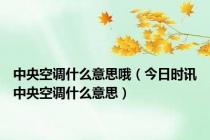 中央空调什么意思哦（今日时讯中央空调什么意思）