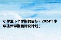 小学生下个学期的目标（2024年小学生新学期目标及计划）