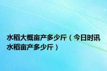 水稻大概亩产多少斤（今日时讯水稻亩产多少斤）