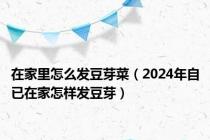 在家里怎么发豆芽菜（2024年自已在家怎样发豆芽）