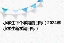 小学生下个学期的目标（2024年小学生新学期目标）