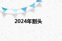 2024年割头