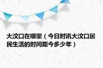 大汶口在哪里（今日时讯大汶口居民生活的时间距今多少年）