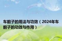 车前子的用法与功效（2024年车前子的功效与作用）