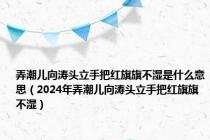 弄潮儿向涛头立手把红旗旗不湿是什么意思（2024年弄潮儿向涛头立手把红旗旗不湿）