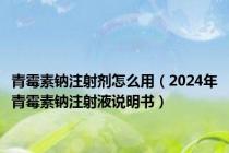 青霉素钠注射剂怎么用（2024年青霉素钠注射液说明书）