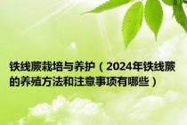 铁线蕨栽培与养护（2024年铁线蕨的养殖方法和注意事项有哪些）