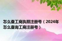 怎么查工商执照注册号（2024年怎么查询工商注册号）