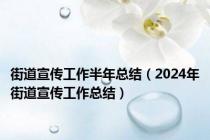 街道宣传工作半年总结（2024年街道宣传工作总结）