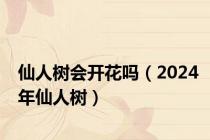 仙人树会开花吗（2024年仙人树）