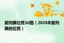 前列腺位置3d图（2024年前列腺的位置）