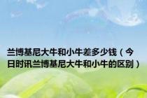 兰博基尼大牛和小牛差多少钱（今日时讯兰博基尼大牛和小牛的区别）