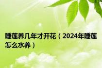 睡莲养几年才开花（2024年睡莲怎么水养）