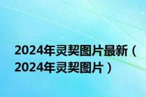 2024年灵契图片最新（2024年灵契图片）