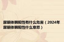 尿酮体弱阳性有什么危害（2024年尿酮体弱阳性什么意思）