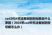 cad2014无法复制到剪贴板是什么原因（2024年cad中无法复制到剪切板怎么办）