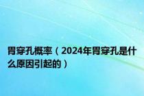 胃穿孔概率（2024年胃穿孔是什么原因引起的）