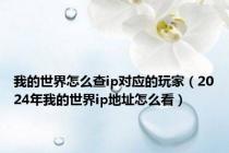 我的世界怎么查ip对应的玩家（2024年我的世界ip地址怎么看）