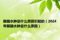 眼睛水肿是什么原因引起的（2024年眼睛水肿是什么原因）