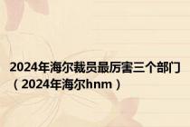 2024年海尔裁员最厉害三个部门（2024年海尔hnm）