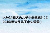 cctv14新大头儿子小头爸爸3（2024年新大头儿子小头爸爸）