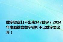 数字键盘打不出来147数字（2024年电脑键盘数字键打不出数字怎么弄）