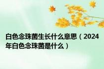 白色念珠菌生长什么意思（2024年白色念珠菌是什么）