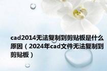 cad2014无法复制到剪贴板是什么原因（2024年cad文件无法复制到剪贴板）