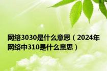 网络3030是什么意思（2024年网络中310是什么意思）