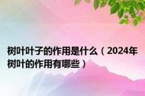 树叶叶子的作用是什么（2024年树叶的作用有哪些）