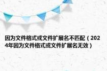 因为文件格式或文件扩展名不匹配（2024年因为文件格式或文件扩展名无效）