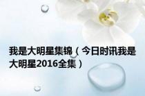 我是大明星集锦（今日时讯我是大明星2016全集）