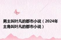 男主叫叶凡的都市小说（2024年主角叫叶凡的都市小说）