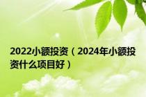 2022小额投资（2024年小额投资什么项目好）