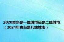 2020青岛是一线城市还是二线城市（2024年青岛是几线城市）