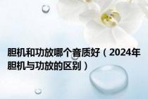 胆机和功放哪个音质好（2024年胆机与功放的区别）