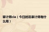 审计师cia（今日时讯审计师有什么用）